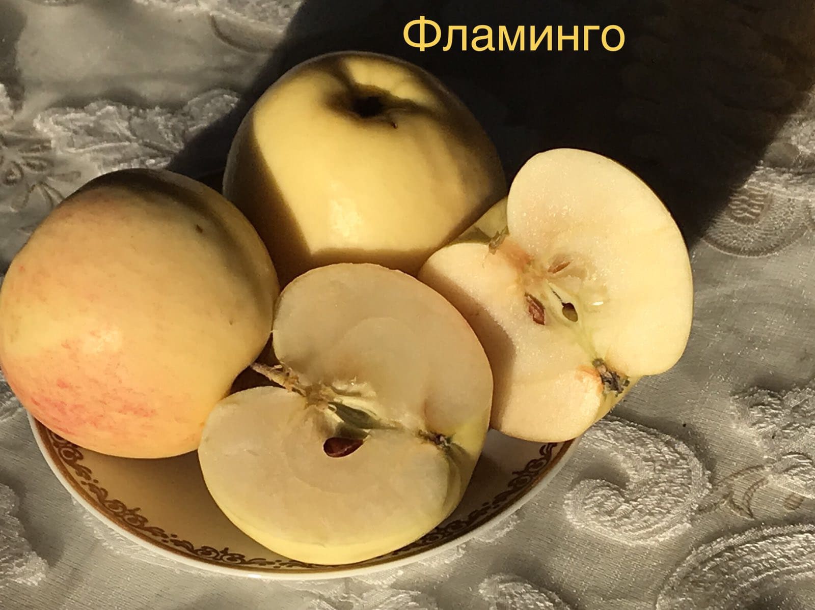 Яблоня сорт Фламинго
