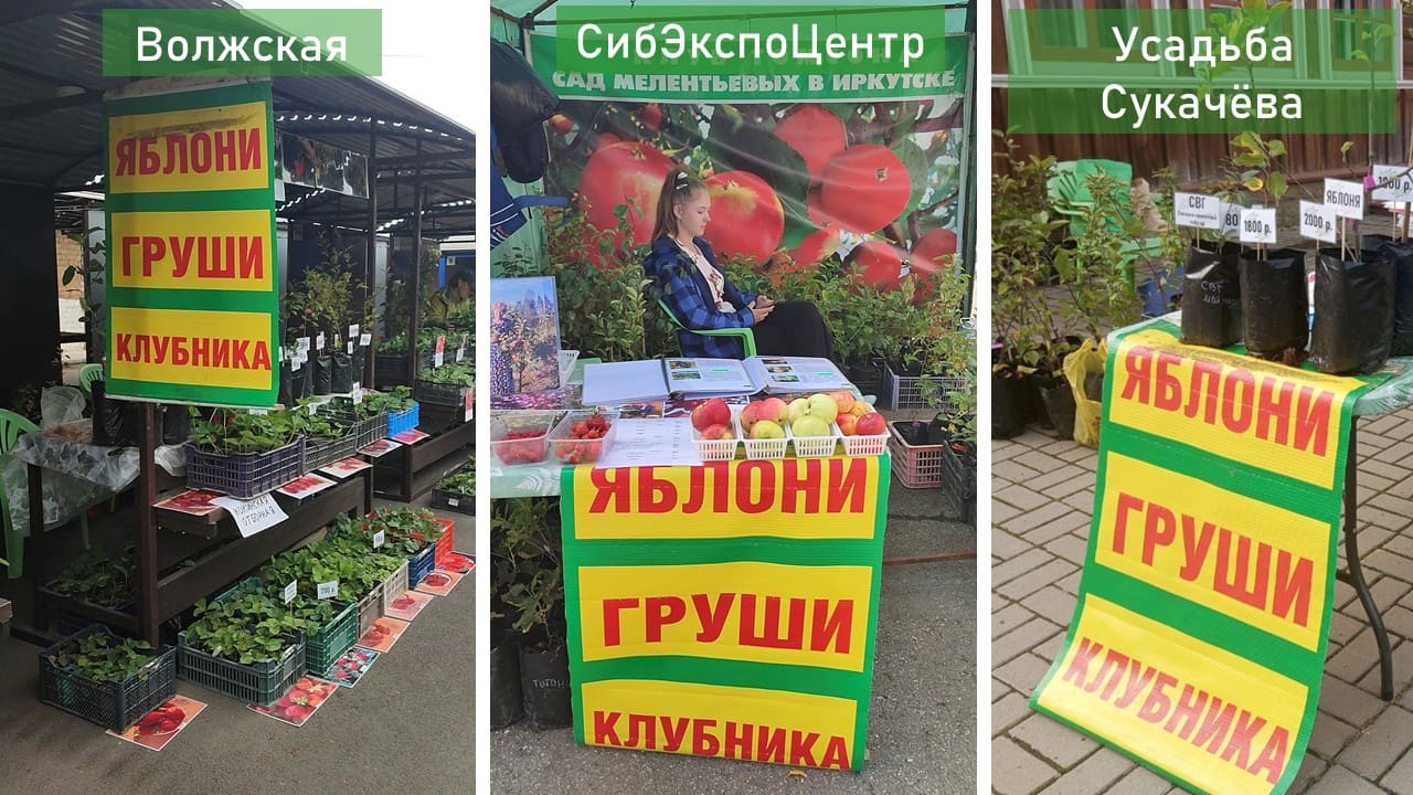 Фотографии ярмарок